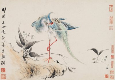 Birds and Flowers by Hua Yan